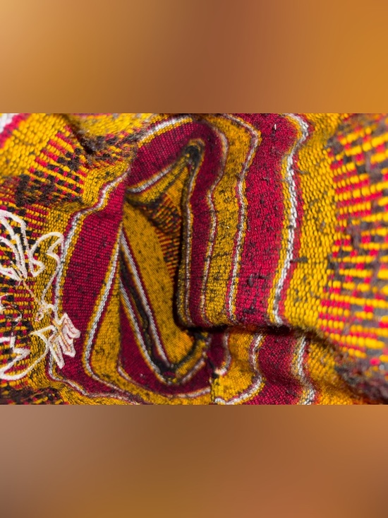 Arizona State University Southwestern Woven Backpack Maroon Gold Sparky Mascot main image 8